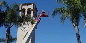 Bee Removal Commerce CA Difficult bee removal using a 
      manlift.