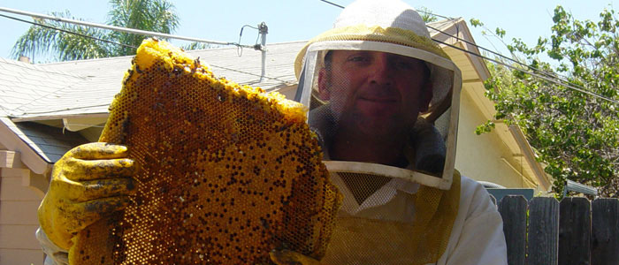 East LA Bee Removal Guys Tech Michael