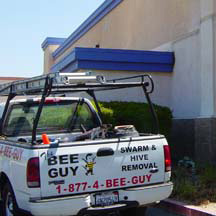 Commerce Bee Removal Guys Service Truck